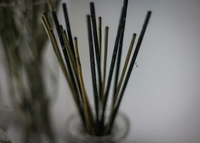 Bed & Breakfast A Due Passi Dal Lumiere Bologna