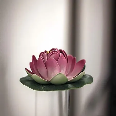 A Due Passi Dal Lumière *