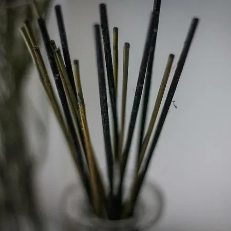 Alojamento de Acomodação e Pequeno-almoço A Due Passi Dal Lumiere Bolonha