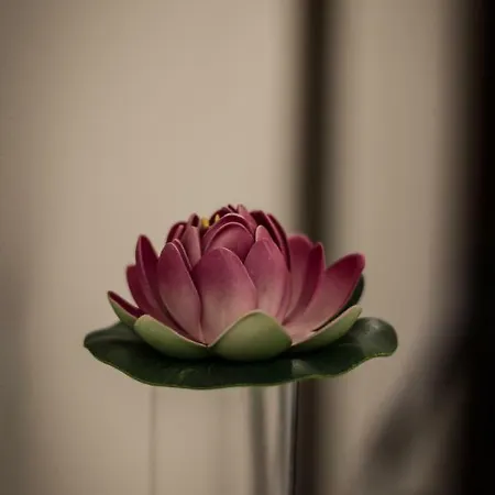 A Due Passi Dal Lumière * Bologne