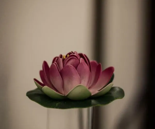 A Due Passi Dal Lumière * Bologne